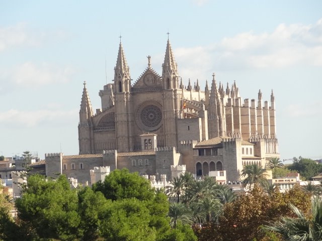 la catedral de mallorca